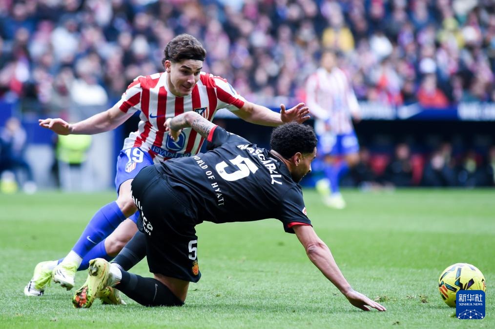 为什么Solver给出的答案，你却用不了？（为什么拿到 Solver 的答案却无法落地？）